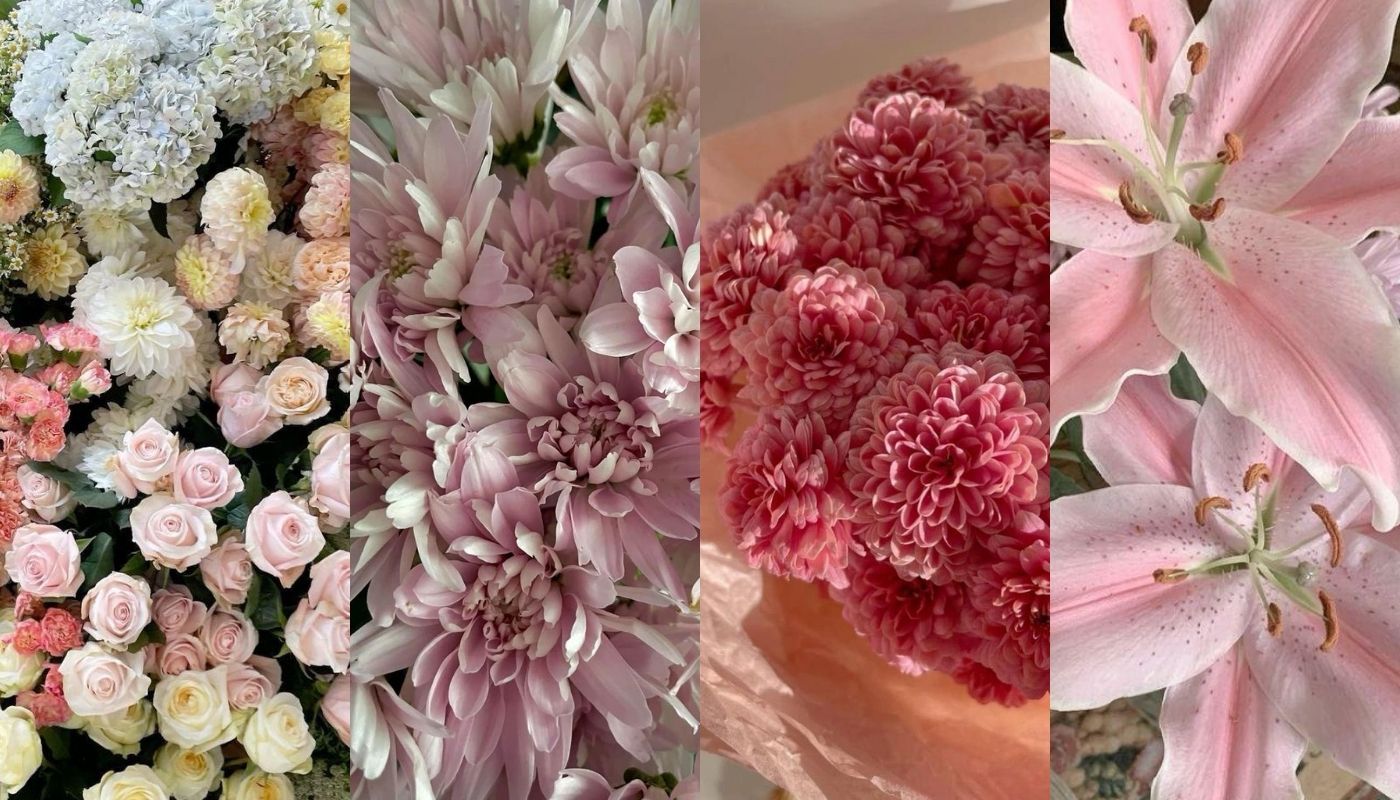 Lady Diana - Image 2