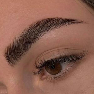 eyebrows